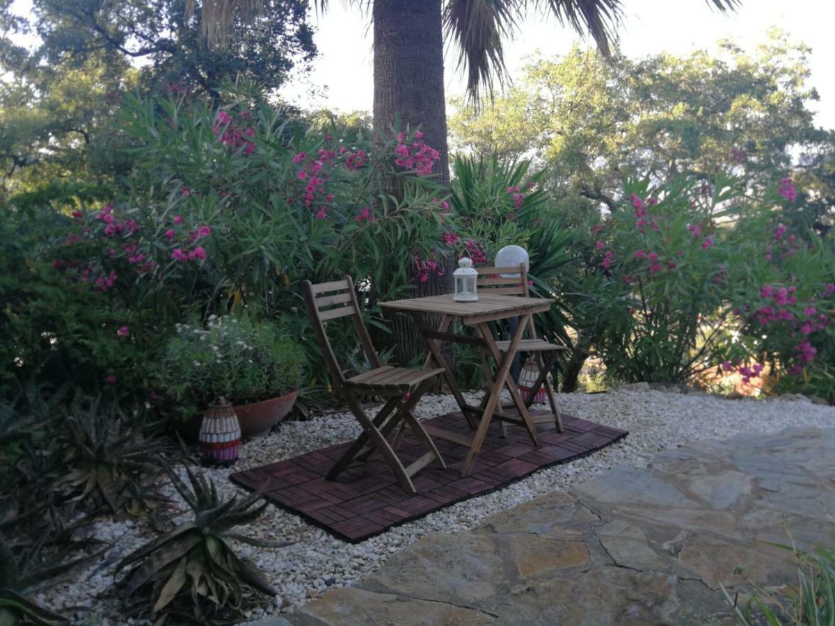 encantador y amplio estudio a 15 min de Marbella Apartamento Ojén Exterior foto